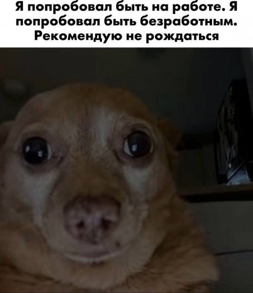 IMG 20260121 125754 177