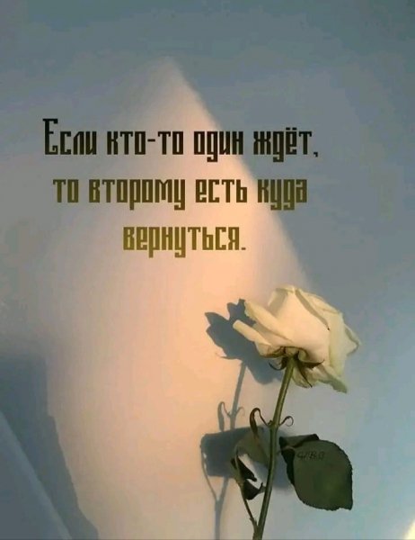 IMG 20260221 020844