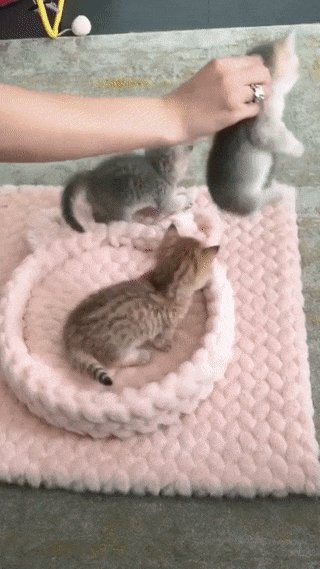 Лайфхак по укладыванию спать)