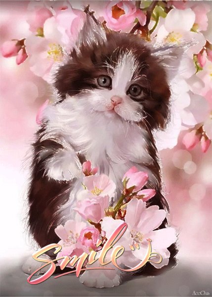 Улыбнись!
