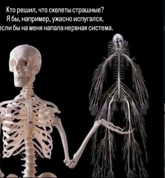 file_103349623