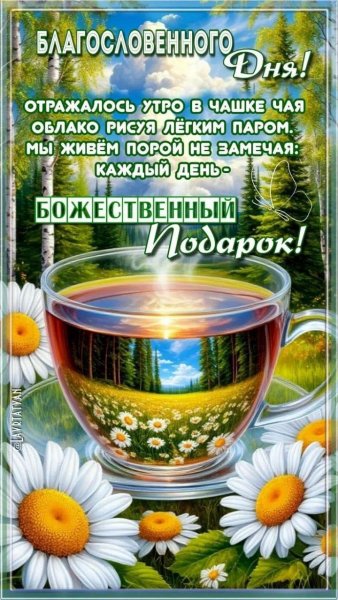 IMG-20260816-WA0003