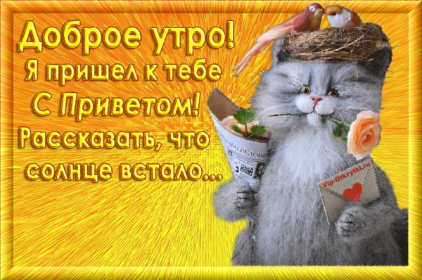 file_78986685