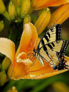file_56969746