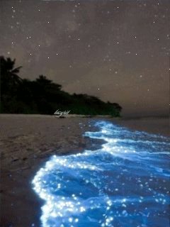 file_46249162