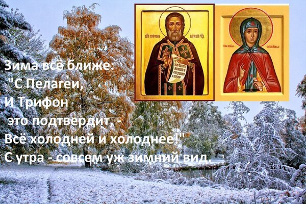 Открытка зима всё ближе с пелагеи и