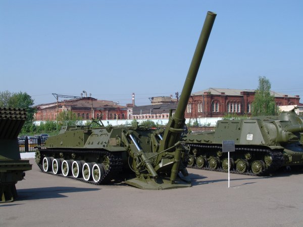 2В8 Тюльпан