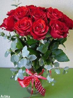 file_49788105