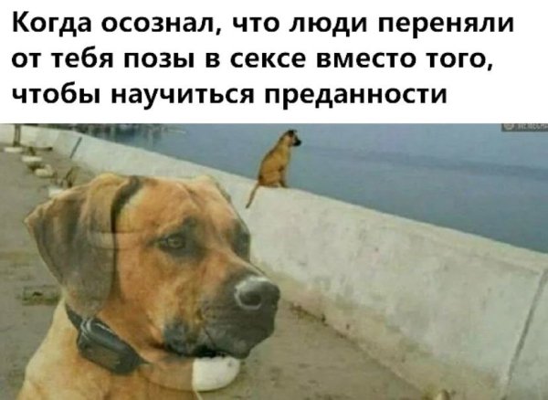 IMG 20260102 212506 339