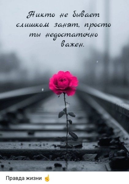 file_102859939