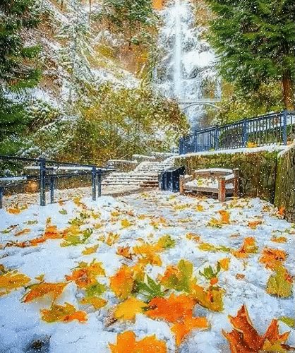 file_75366374