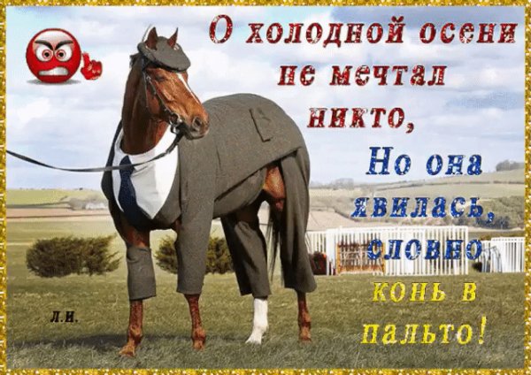 IMG 20221002 163059