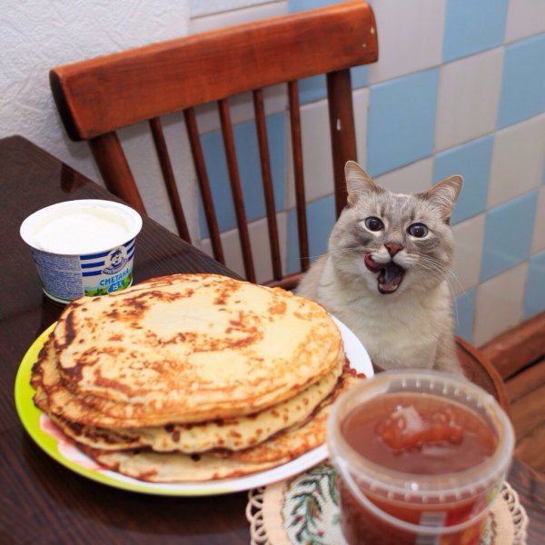 котэ