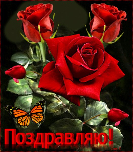 file_75283169