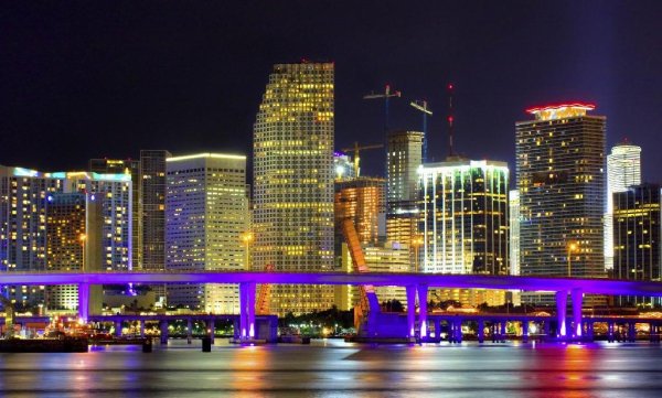Miami Nights