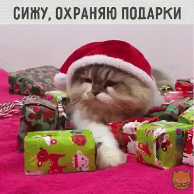 file_75991027