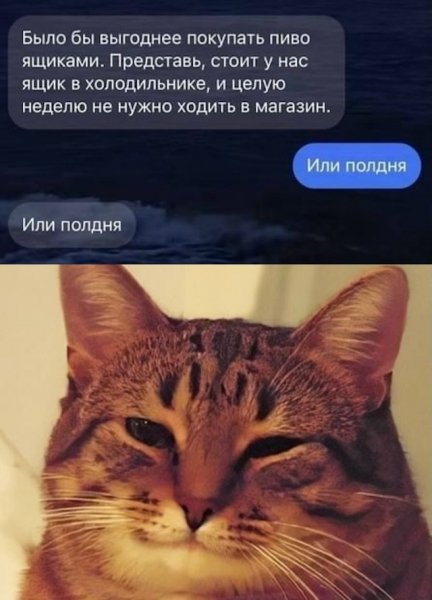 file_103195307