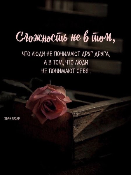 CLqnGonBrZY