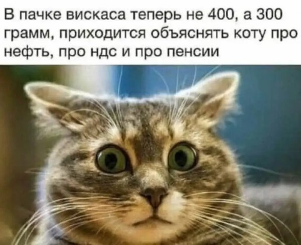 file_100357287