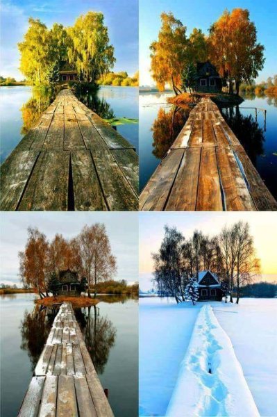 Хижина в разное время года)))