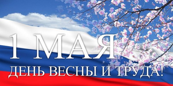 file_84977708