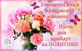 IMG 20181127 120743