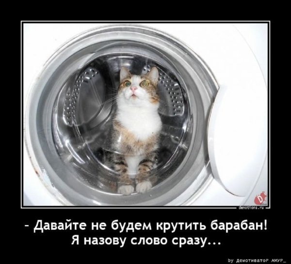 Давайте не будем крутить барабан, я назову слово сразу