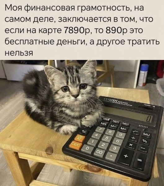 file_100257144