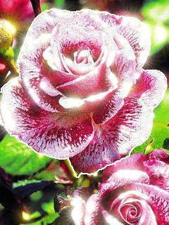 file_62636155