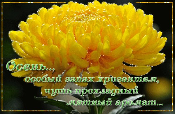 file_70877796