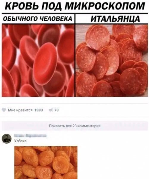 file_103330574