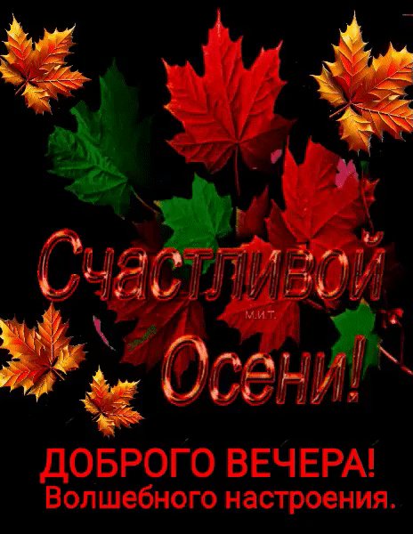 IMG 20251124 215754