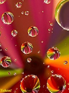 file_70410011