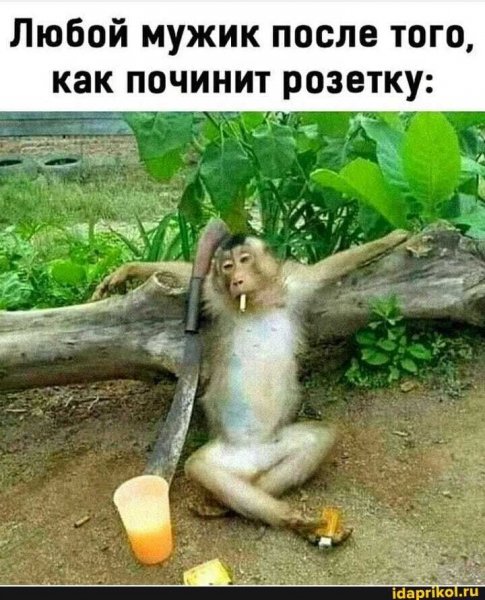 C02a22b884cd8f1ff561bb871851dbd1