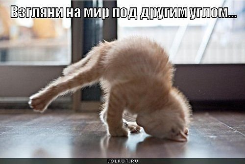 getImage 8