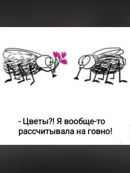 Fkh558 8f15abbfb64c4f67