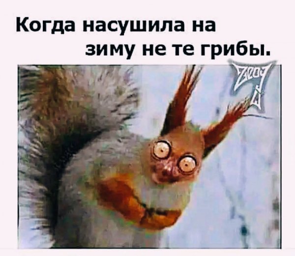 IMG 20231115 140053