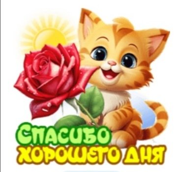file_99015195
