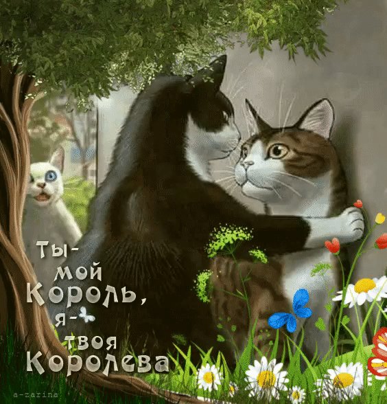 IMG 20190907 153144