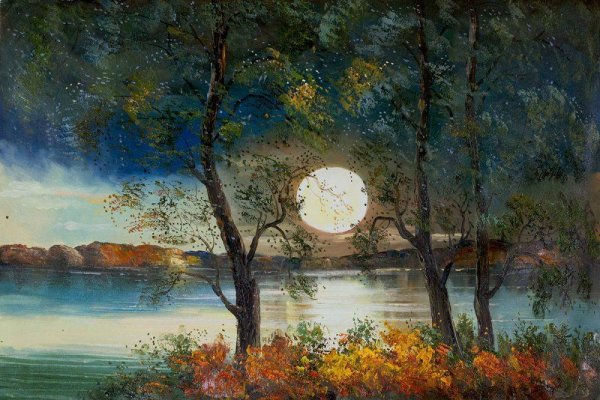 by Justyna Kopania