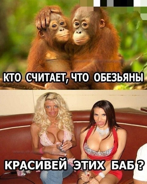 IMG 20210825 085132