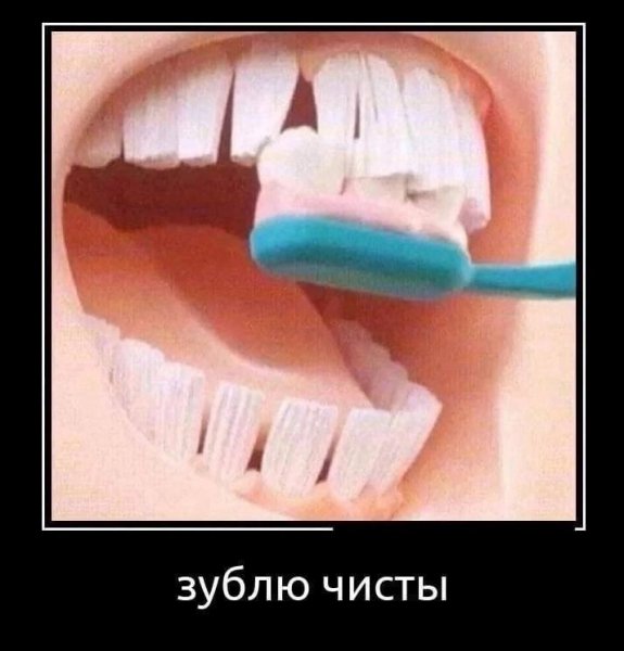 IMG 20240220 165255 364