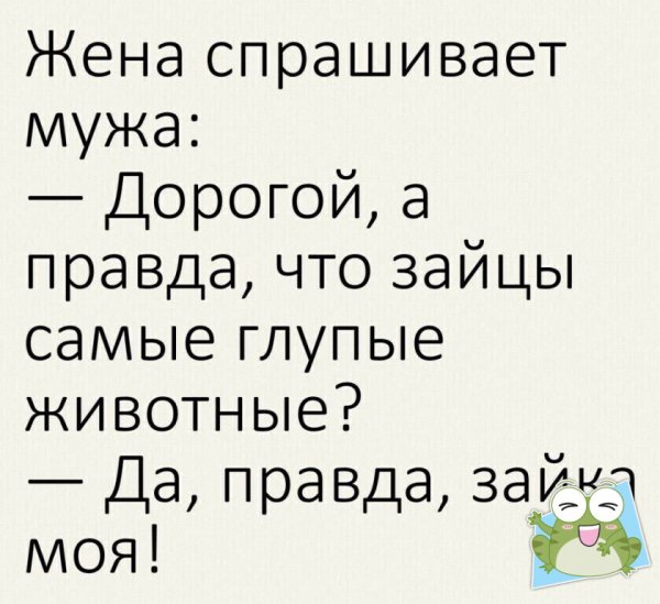 IMG 20240818 120528