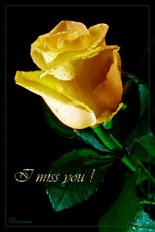 file_63989568
