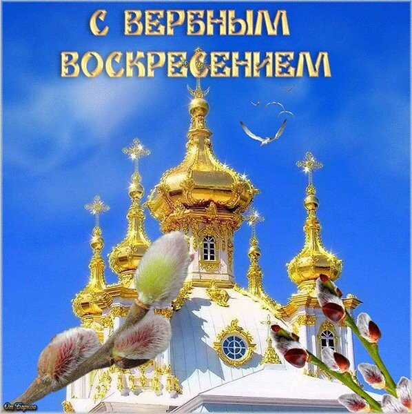 IMG 20210425 162051