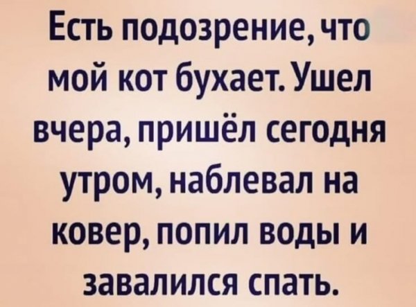 e2810a9a77dcb68ef895d15aece