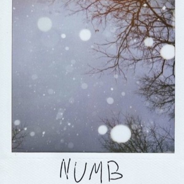 Brennan Savage - Numb