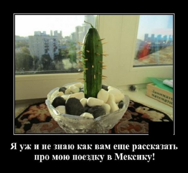 Я уж и не знаю как вам рассказать про мою поездку в Мексику