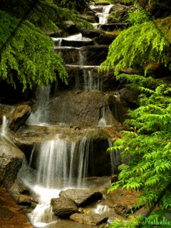 file_82967747