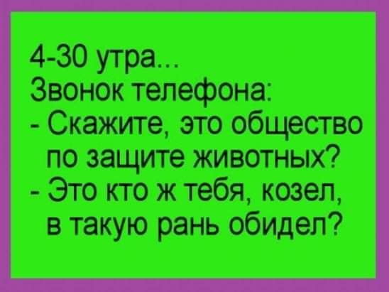 FB IMG 1729694206223-